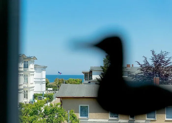 아파트 Ahlbecker Hoehe App Moewennest *